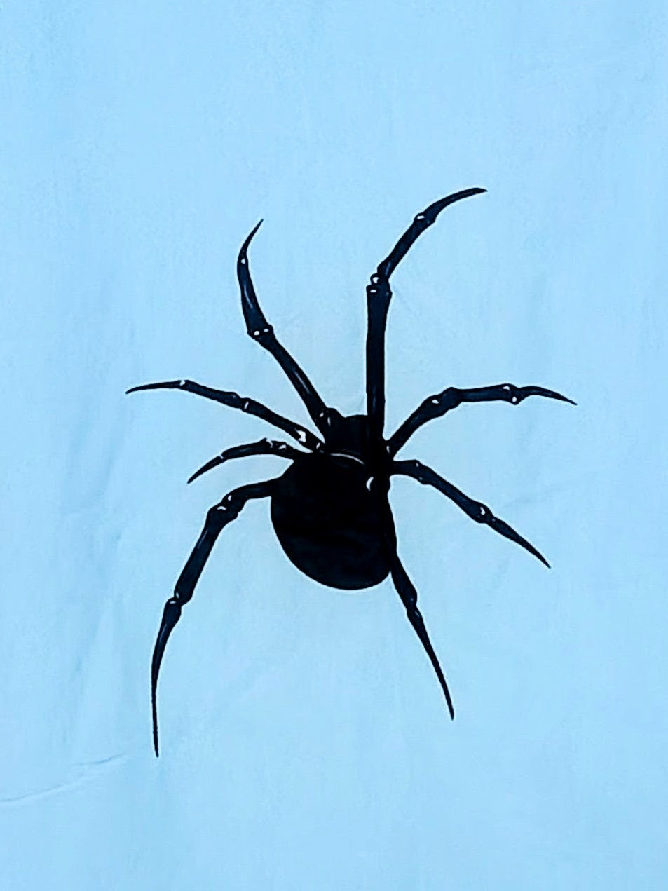 Boxy Printed Shirt Spider
